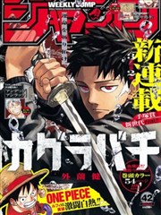 无敌琪琪电影网在线观看条目卡：漫画改编实验